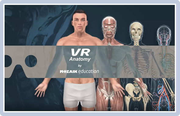 3D anatomy atlas