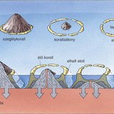 Korallatoll kialakulása