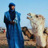 Tuareg tevével