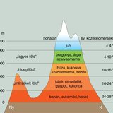 Növénytermesztés, állattenyésztés (Andok)