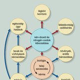 A környezet savasodása összetett folyamat, amely a Föld minden gömbhéját érinti