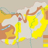 Burgonya- és cukorrépa-termesztés Magyarországon