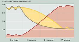 A társadalmak demográfiai átalakulásának négy szakasza